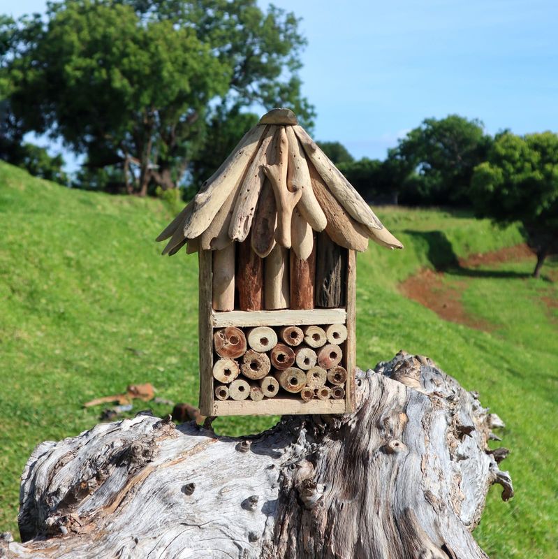 Driftwood Bijen- en Insectendoos - Dubbel