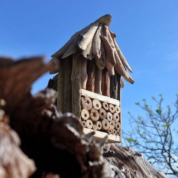 Driftwood Bijen- en Insectendoos - Dubbel