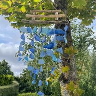 Drie Stok - Allemaal Blues