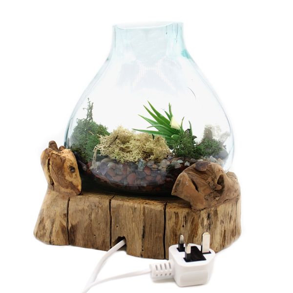 Molten Glass Groot Aquarium 3,7 liter (met lichtholte) - 30 cm (UK-stekker)