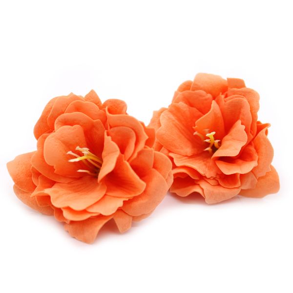 Ambachtelijke Zeepbloem- Kleine Pioen - Oranje