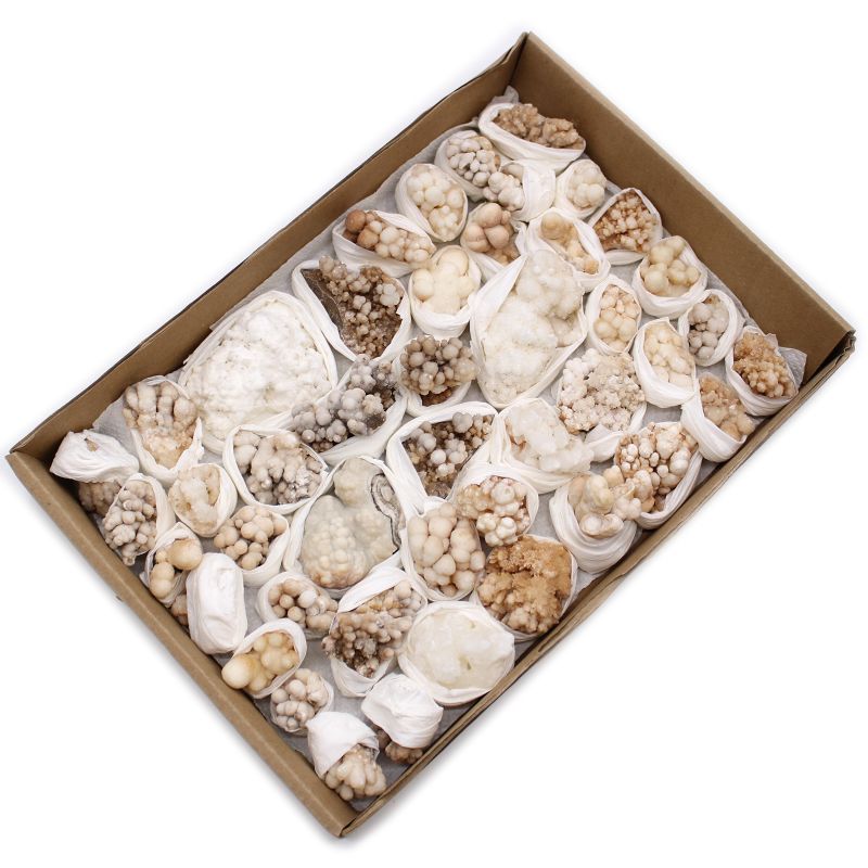 Calcietbloemen – Bakje van ca. 20 Stuks
