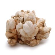 Calcietbloemen – Bakje van ca. 20 Stuks