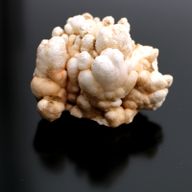 Calcietbloemen – Bakje van ca. 20 Stuks