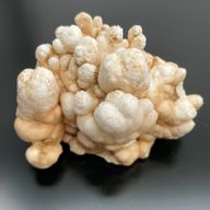 Calcietbloemen – Bakje van ca. 20 Stuks