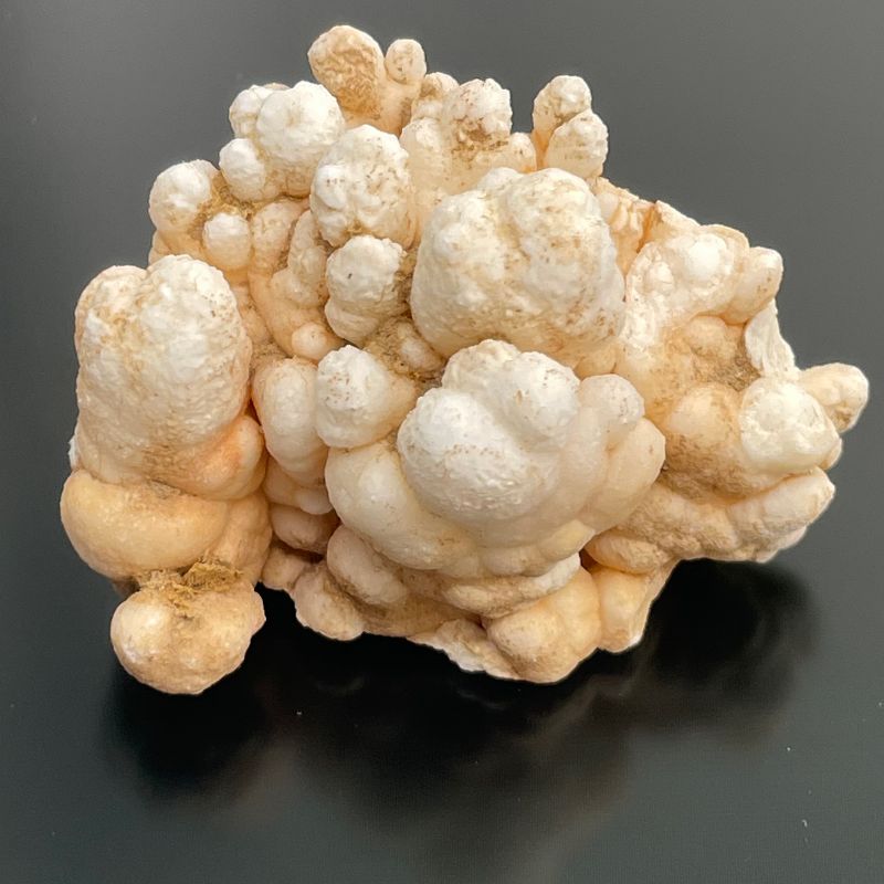 Calcietbloemen – Bakje van ca. 20 Stuks