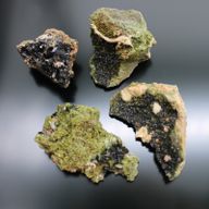 Epidoot – ca. 10 Stuks