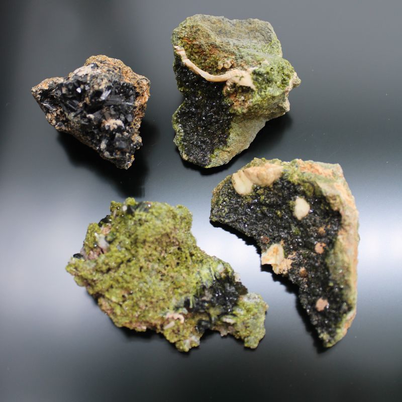 Epidoot – ca. 10 Stuks