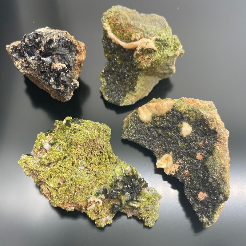 Epidoot – ca. 10 Stuks