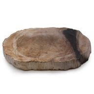 Versteend Hout Zwart Zeepbakje