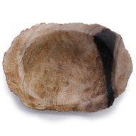 Versteend Hout Zwart Zeepbakje