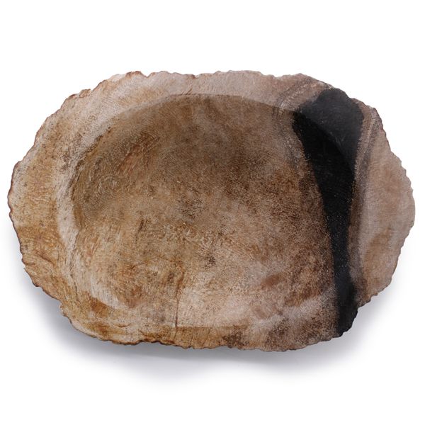 Versteend Hout Zwart Zeepbakje