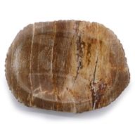 Versteend Hout Bruin Zeepbakje