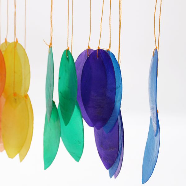 Regenboogblad Groot Blad Drijfhout Chime