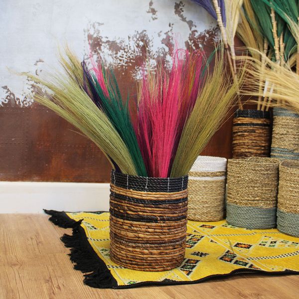 Set van 4 - Pampas Lange Bezem - Levendige Kleuren