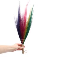 Set van 4 - Pampas Lange Bezem - Regenboogkleuren