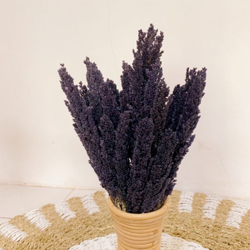 Sorghum Grasbos - Zwart