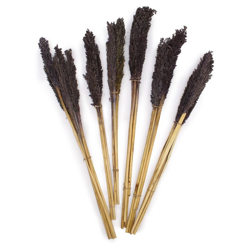 Sorghum Grasbos - Zwart