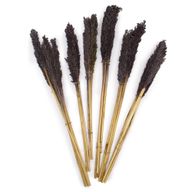 Sorghum Grasbos - Zwart
