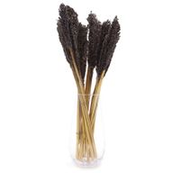 Sorghum Grasbos - Zwart