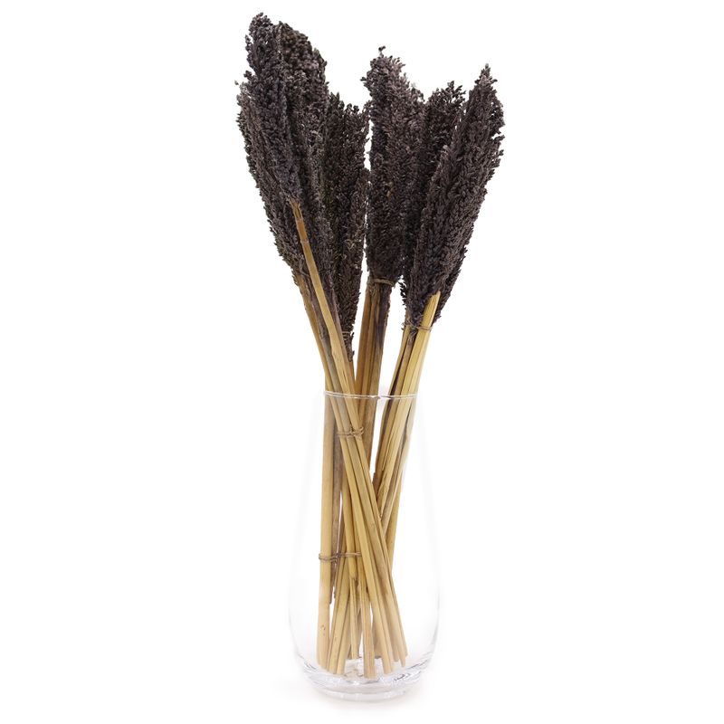 Sorghum Grasbos - Zwart