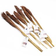 Sorghum Grasbos - Chocolade