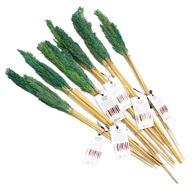 Sorghum Grasbos - Teal