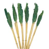 Sorghum Grasbos - Teal