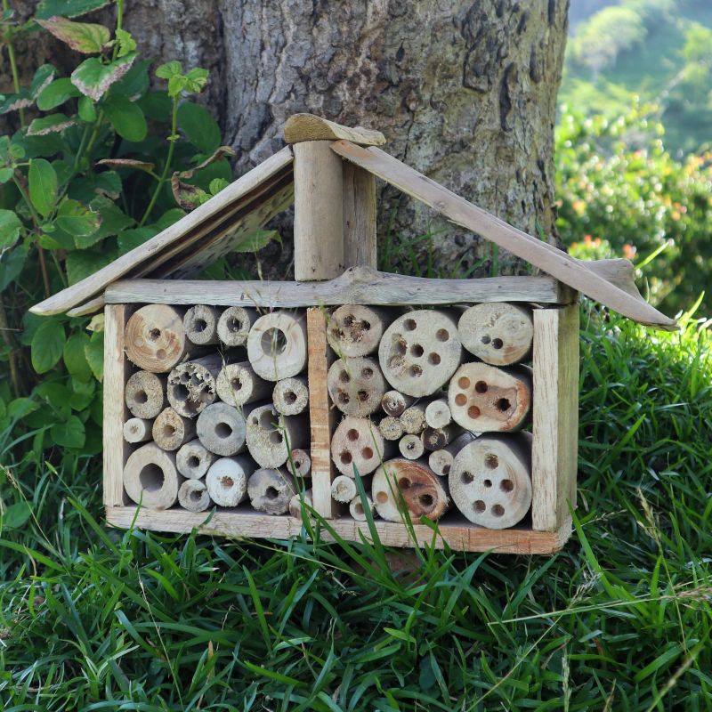 Driftwood Bijen- en Insecten Huisje