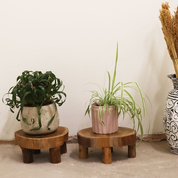 Lage Teakhouten display - 24x10cm