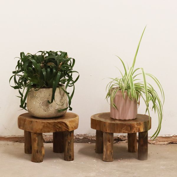 Middelgrote Teakhouten display - 27x15cm