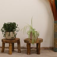 Hoger Teakhouten display - 27x20cm