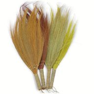 SSet van 4 - Pampas Lange Bezem - Natuurlijke Kleuren