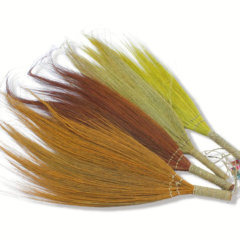 SSet van 4 - Pampas Lange Bezem - Natuurlijke Kleuren