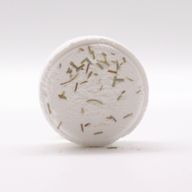 Zen Douche Steamer - Sereniteit Bad (Wit)