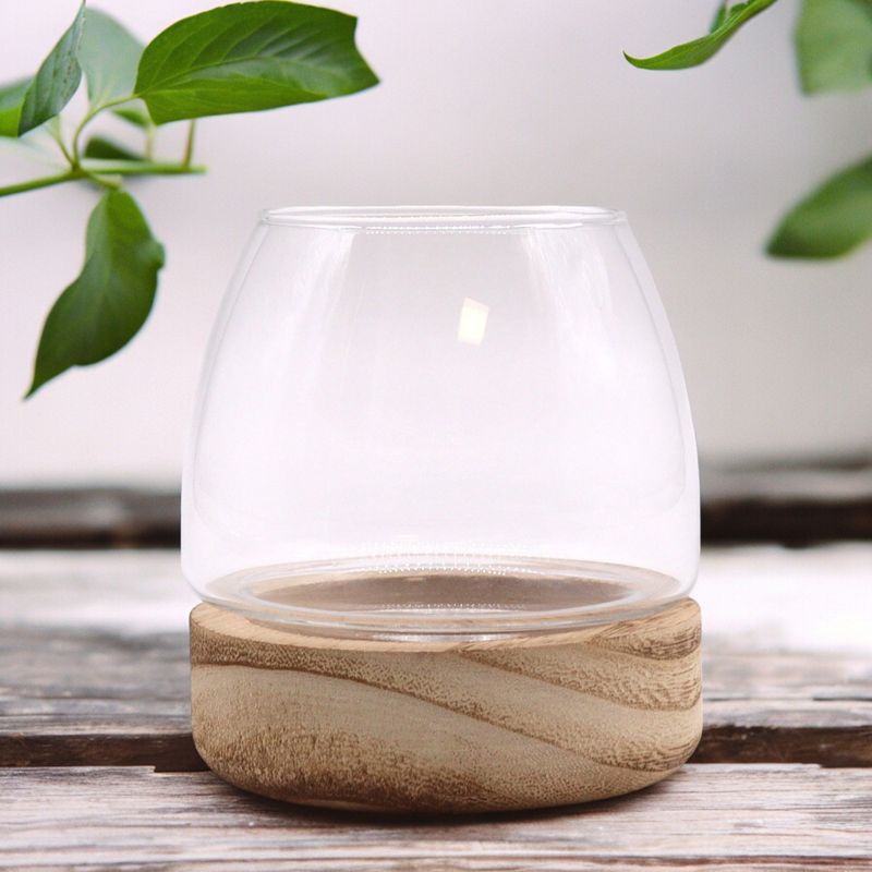 Mini Terrarium op Natuurlijk Tung Hout - 10x10cm