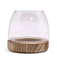 Klein Terrarium op Natuurlijk Tung Hout - 13x13cm