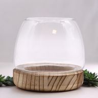 Klein Terrarium op Natuurlijk Tung Hout - 13x13cm