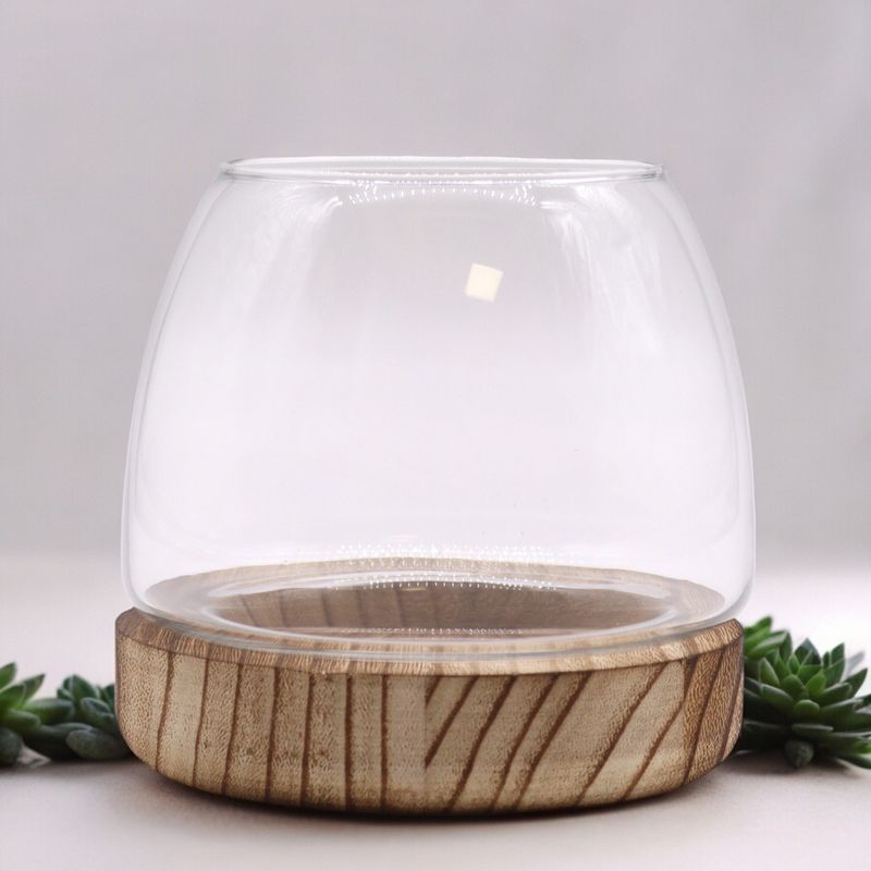 Klein Terrarium op Natuurlijk Tung Hout - 13x13cm