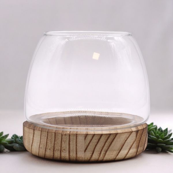 Klein Terrarium op Natuurlijk Tung Hout - 13x13cm