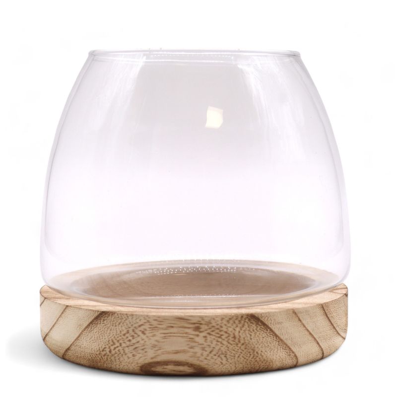 Medium Terrarium op Natuurlijk Tung Hout - 15x15cm
