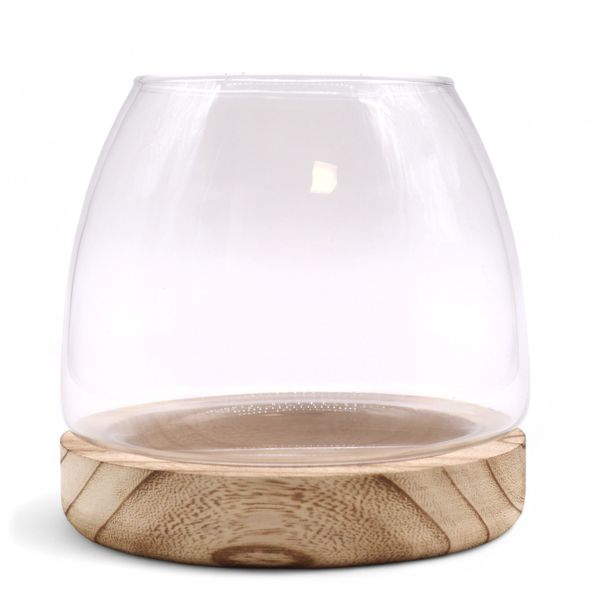 Medium Terrarium op Natuurlijk Tung Hout - 15x15cm
