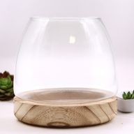 Medium Terrarium op Natuurlijk Tung Hout - 15x15cm