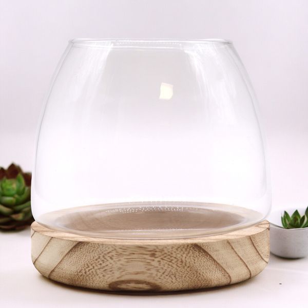 Medium Terrarium op Natuurlijk Tung Hout - 15x15cm