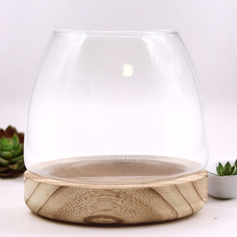 Medium Terrarium op Natuurlijk Tung Hout - 15x15cm