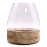 Groot Terrarium op Natuurlijk Tung Hout - 17x19cm