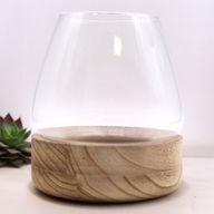 Groot Terrarium op Natuurlijk Tung Hout - 17x19cm