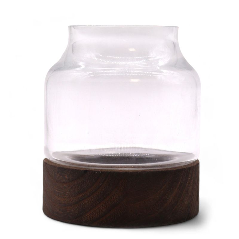 Klein Vormgegeven Terrarium op Donker Tung Hout - 12x13cm