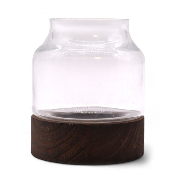 Klein Vormgegeven Terrarium op Donker Tung Hout - 12x13cm