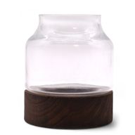 Klein Vormgegeven Terrarium op Donker Tung Hout - 12x13cm